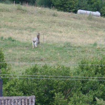 039_1 ist das ein E...